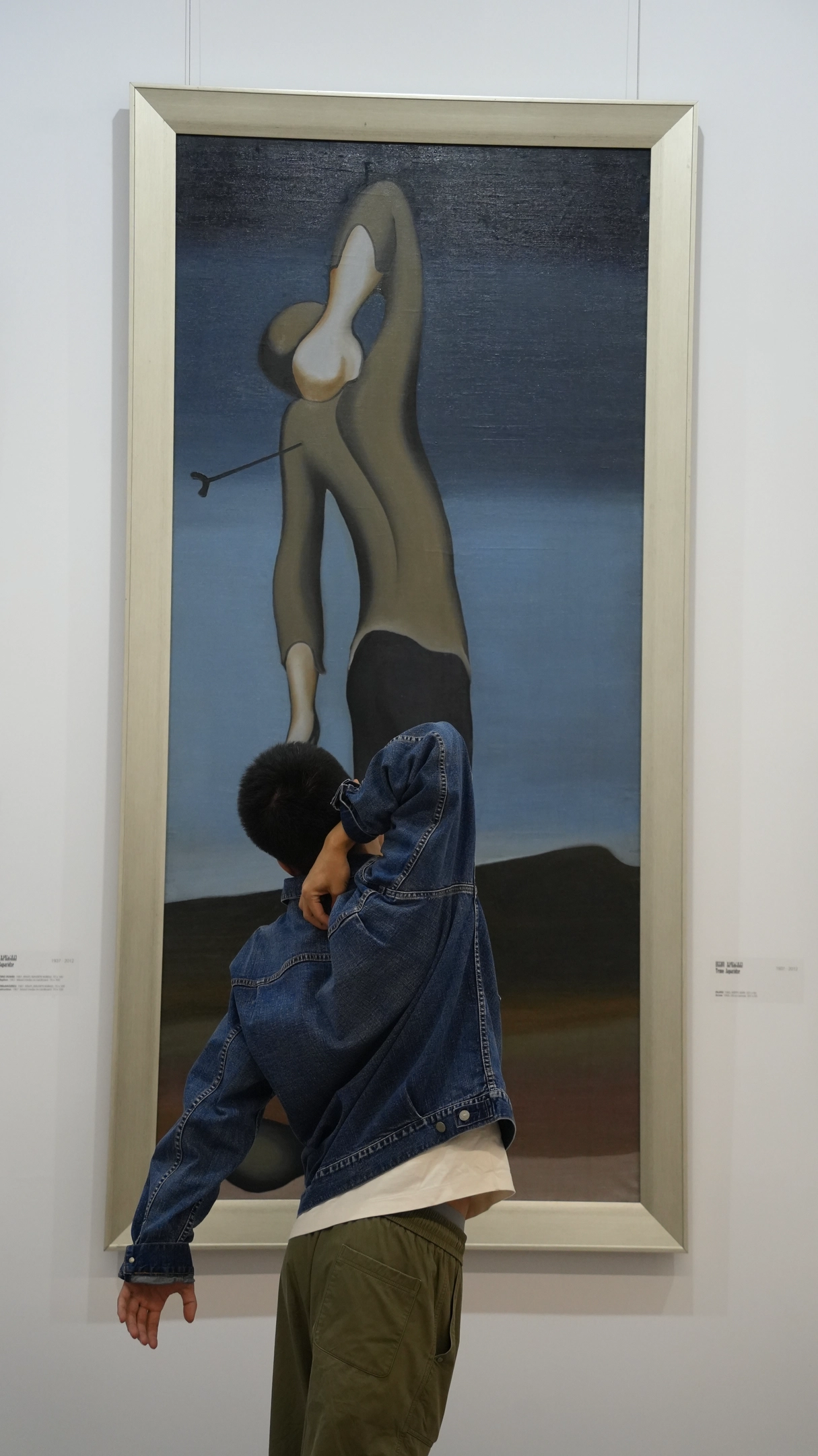 精神不正常的非天才